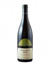 Domein de Wijngaardsberg Pinot Noir