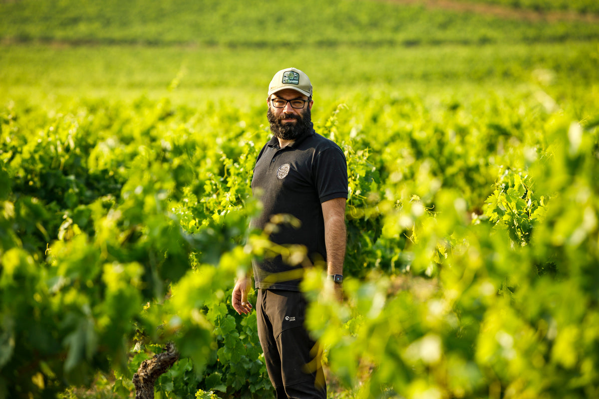 Bodegas Artélan