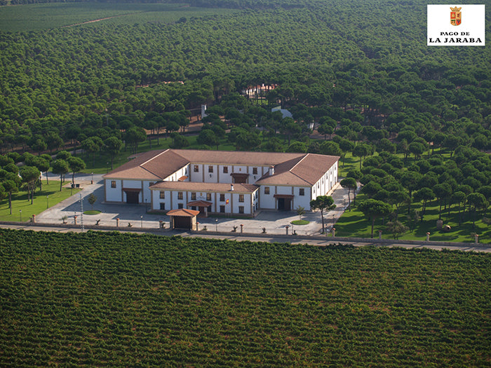 Bodegas Pago de la Jaraba