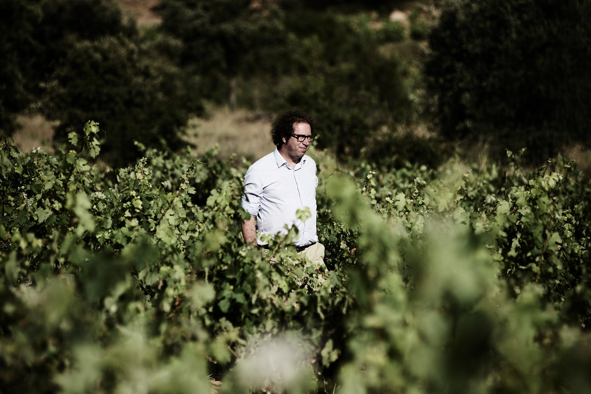 Domaine de Pallus
