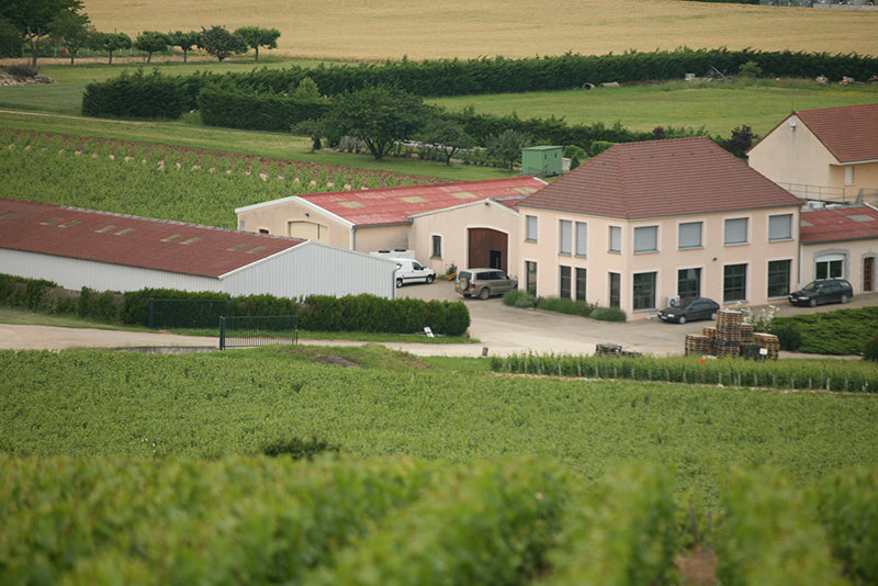 Domaine Sébastien Dampt