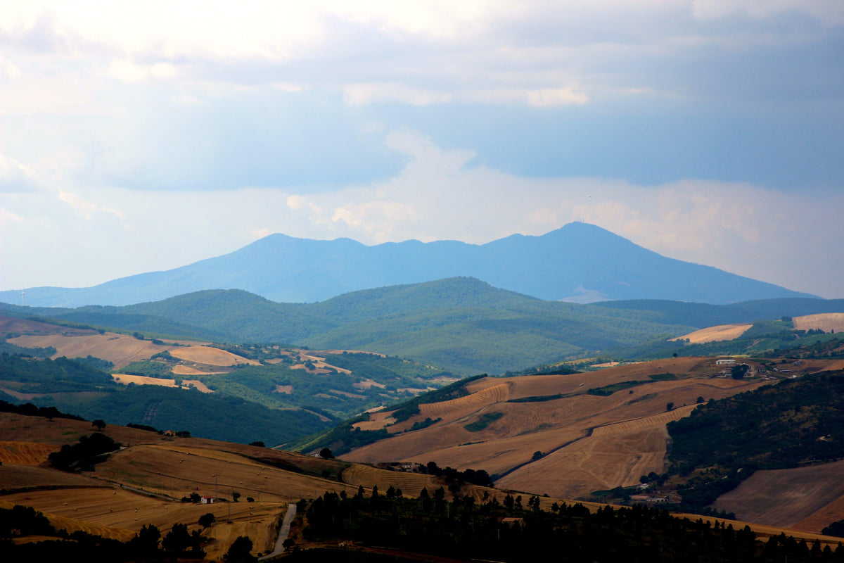 Feudi del Vescovo
