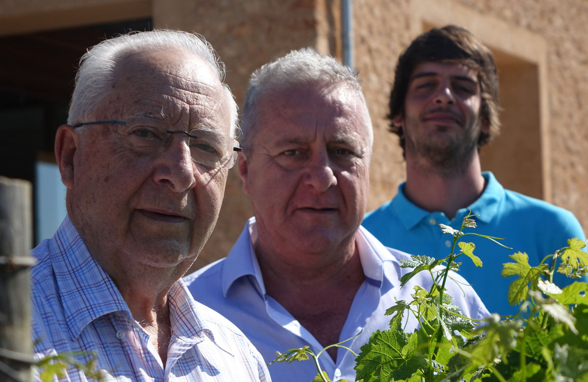 Jaume, Jaime en Jaime Junior Llabres