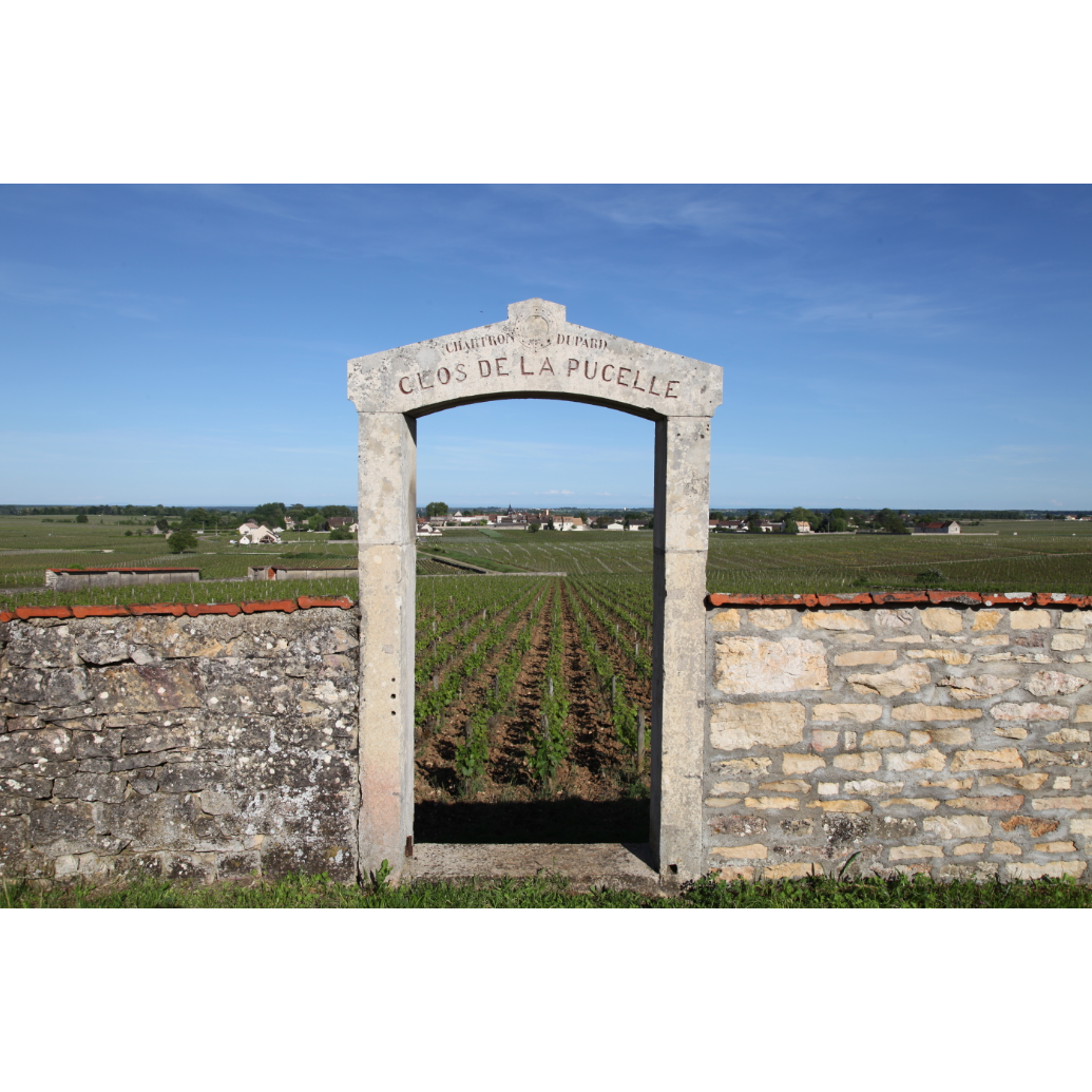 Wijnproeverij: Meursault, Puligny & Chassagne (vrijdag 6/3/2026 - 19:30 - 21:00)