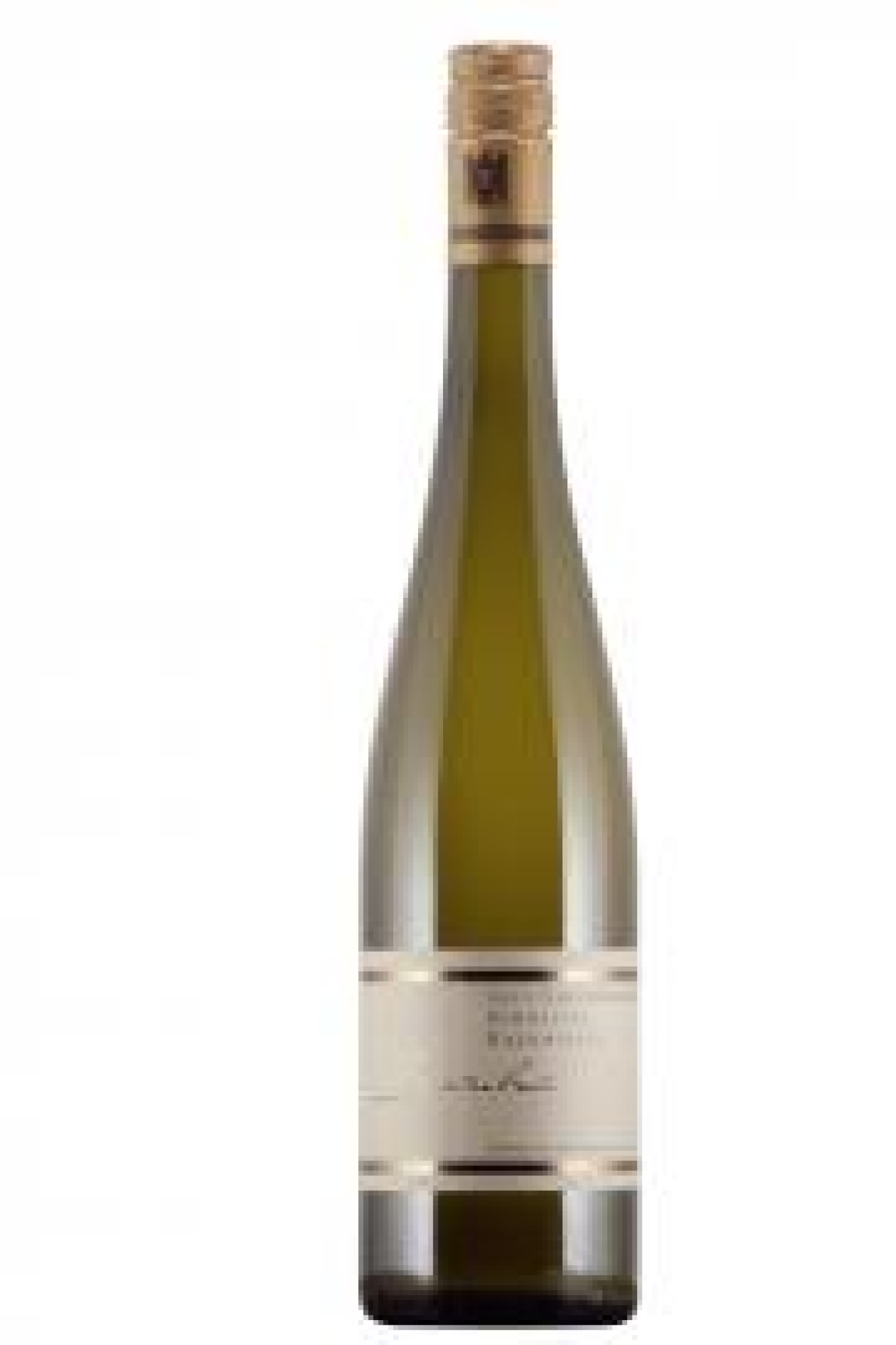 Bernhart Schweigen Sonnenberg FG Grauburgunder 1e lage trocken