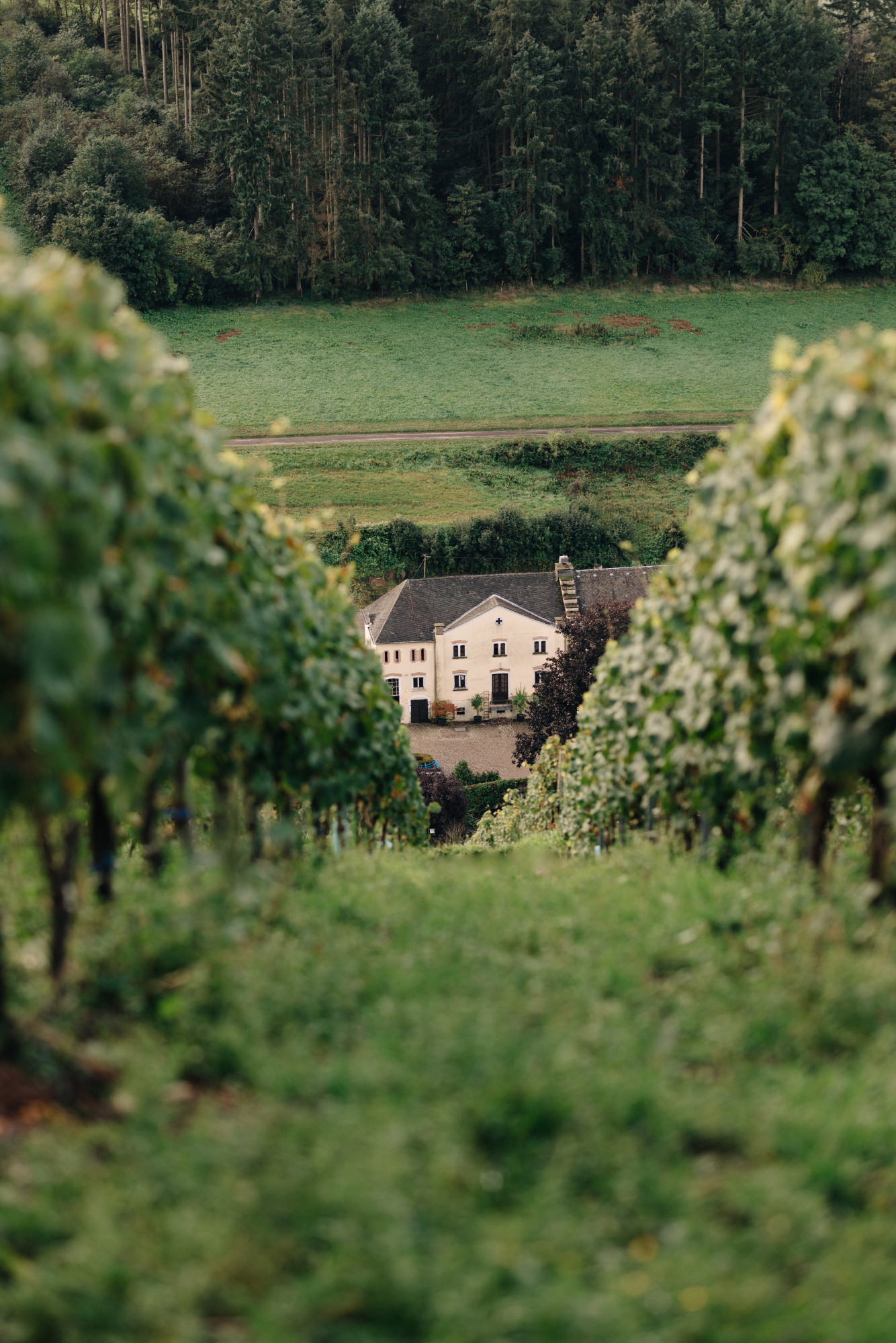 Wijnproeverij Karthäuserhof Zaterdag 8 November 17:00 - 18:30